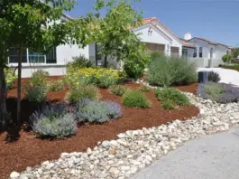 Front Garden with rocks