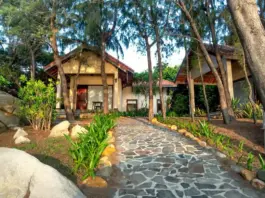 Front Yard walkway